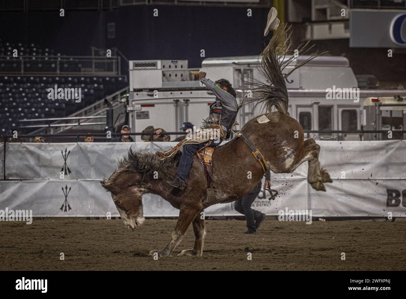 A participant in the San Diego Rodeo holds on to the reigns of a bucking horse at Petco Park