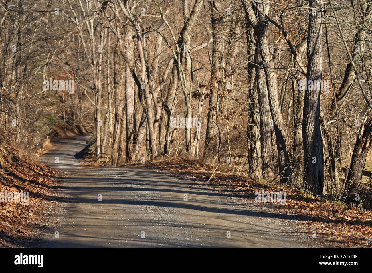 DATE 02012024; Downey Mill Road out of Taylorstown, is one of, if not the most beautiful and