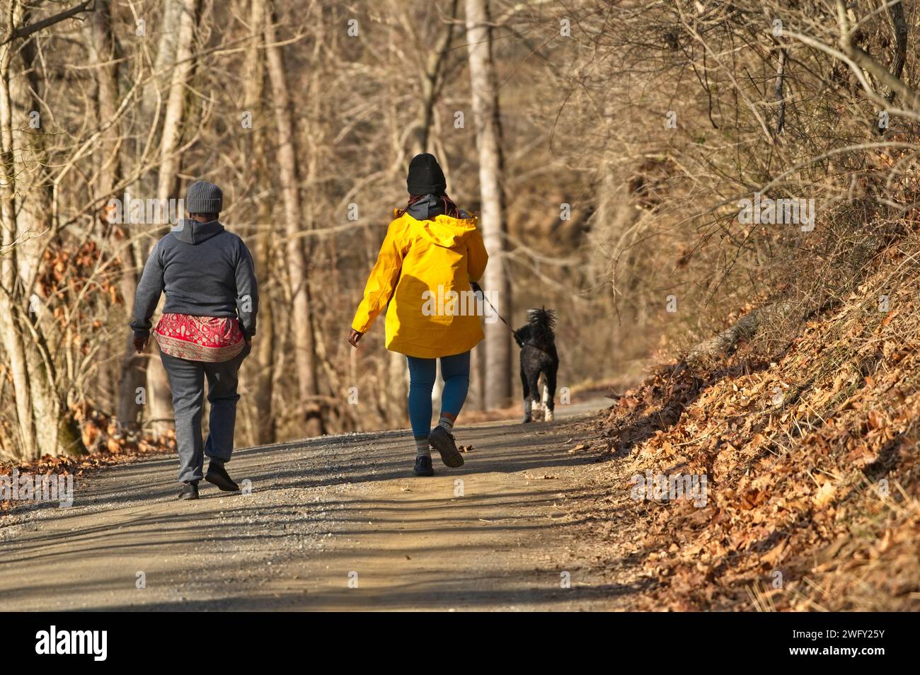 DATE 02012024; Downey Mill Road out of Taylorstown, is one of, if not