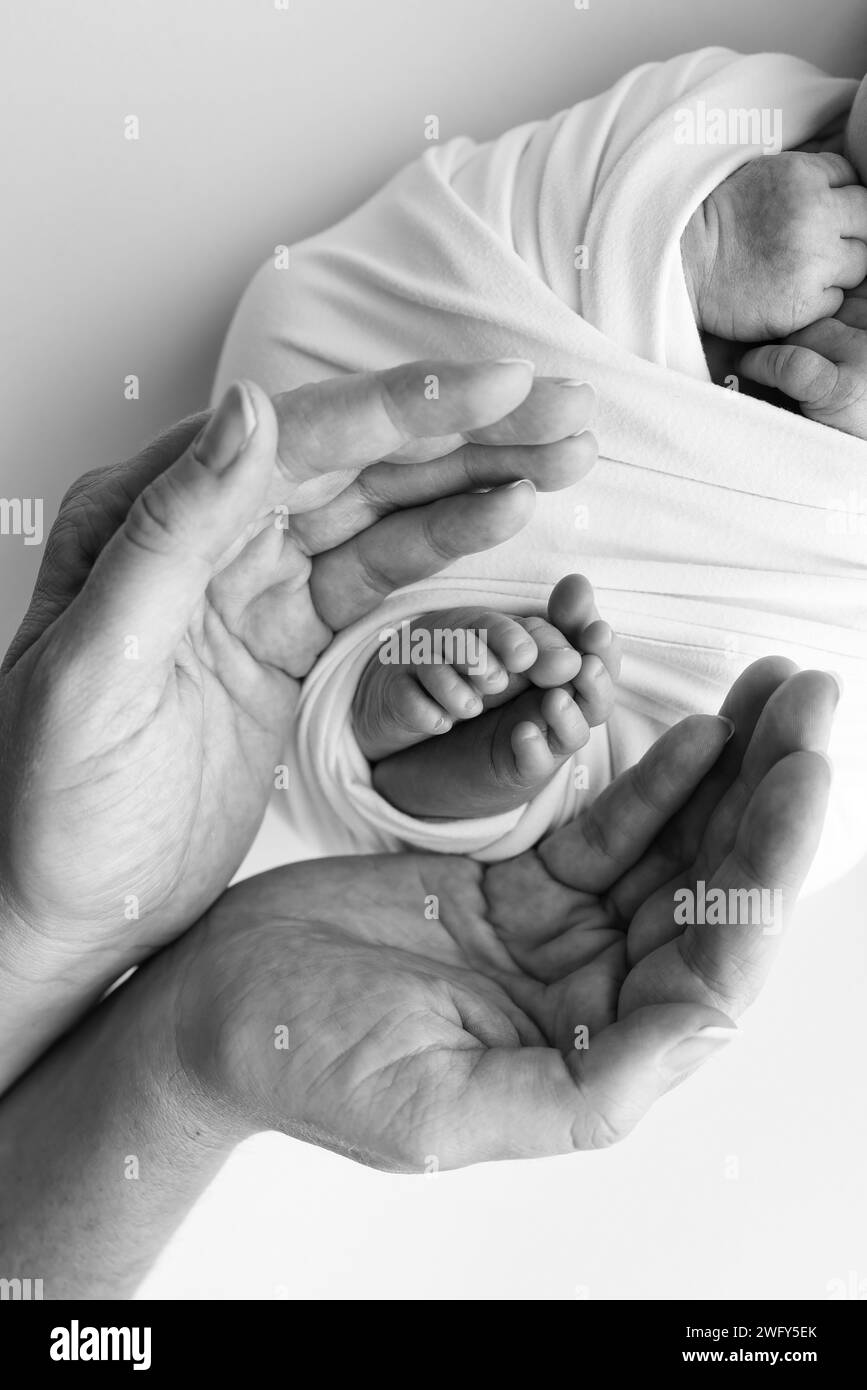 Black and white shade beautiful shape hands mother, hold tiny newborn ...