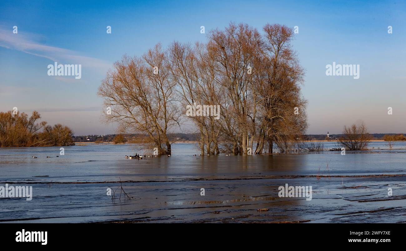 Floodwaters of the Narew River in Poland Stock Photo