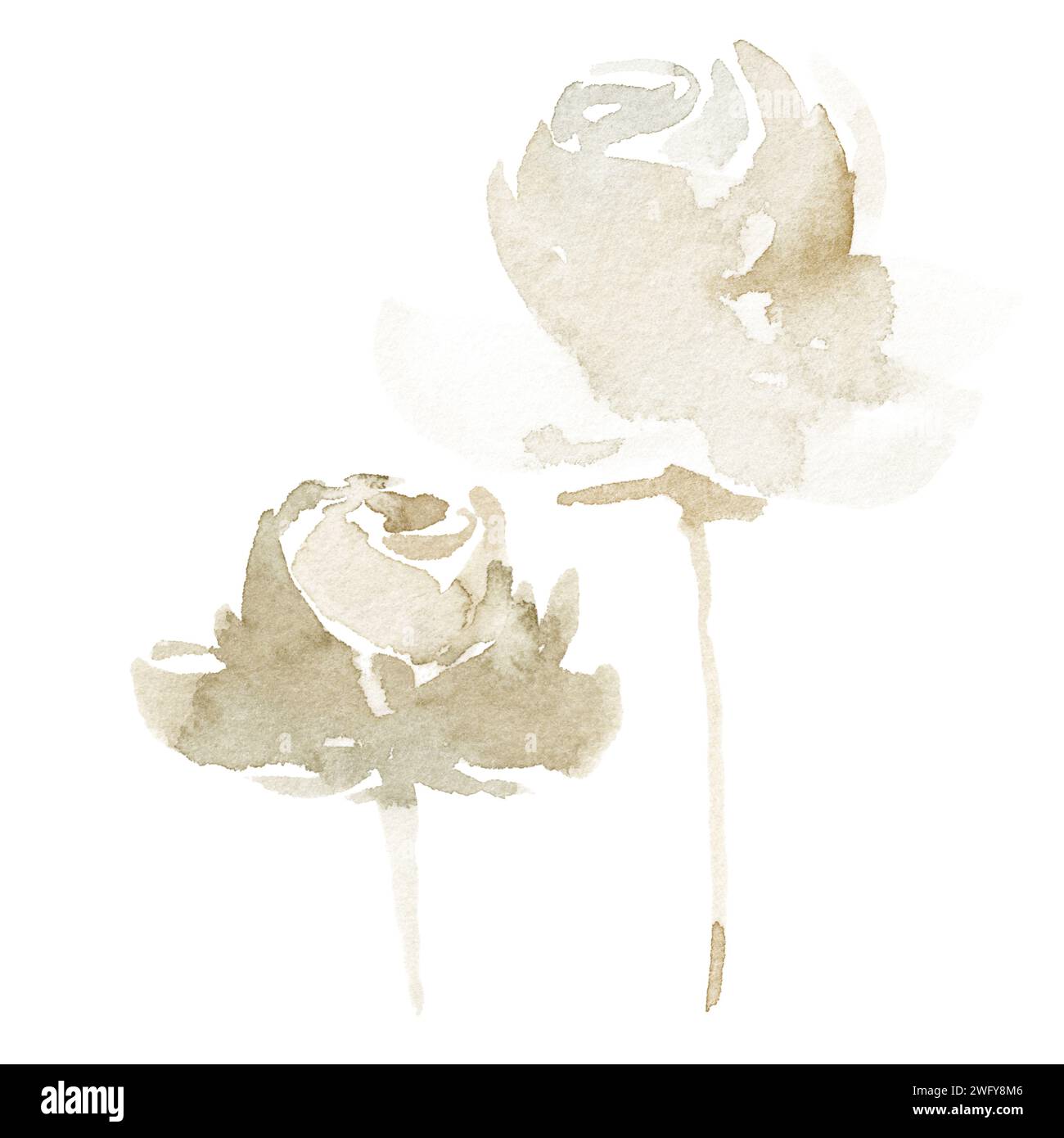 Watercolor abstract rose on stem beige Stock Photo