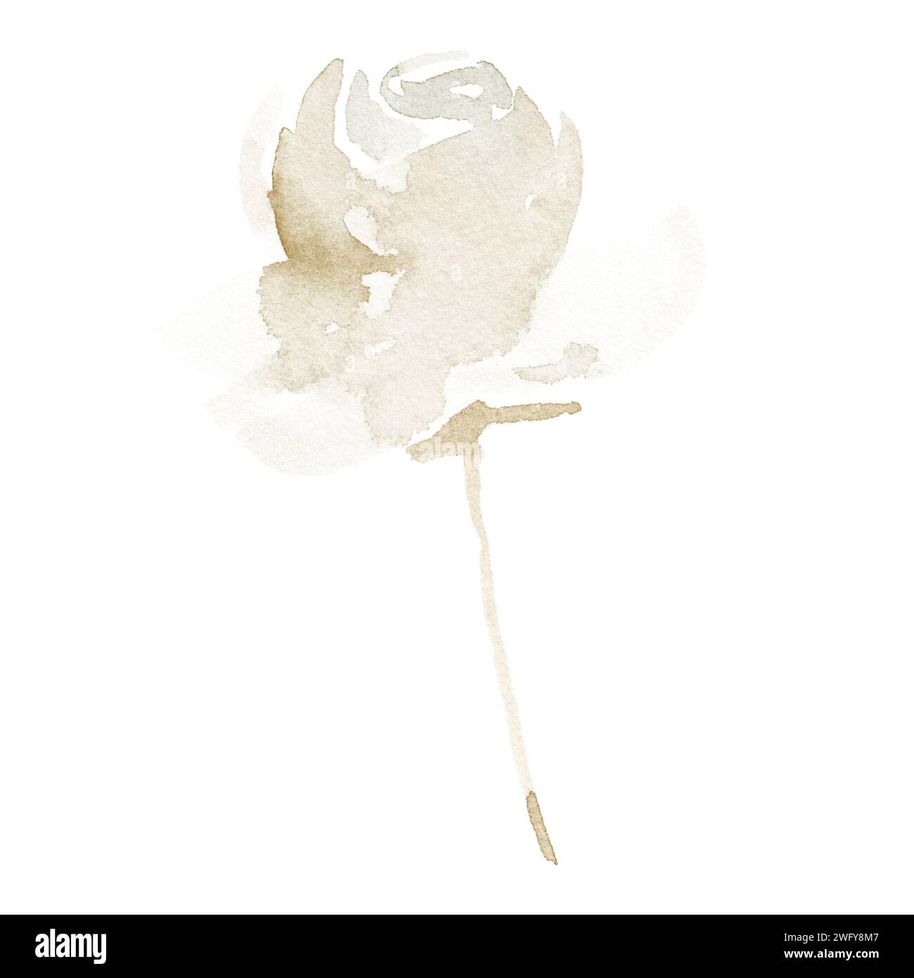 Watercolor abstract rose on stem beige Stock Photo