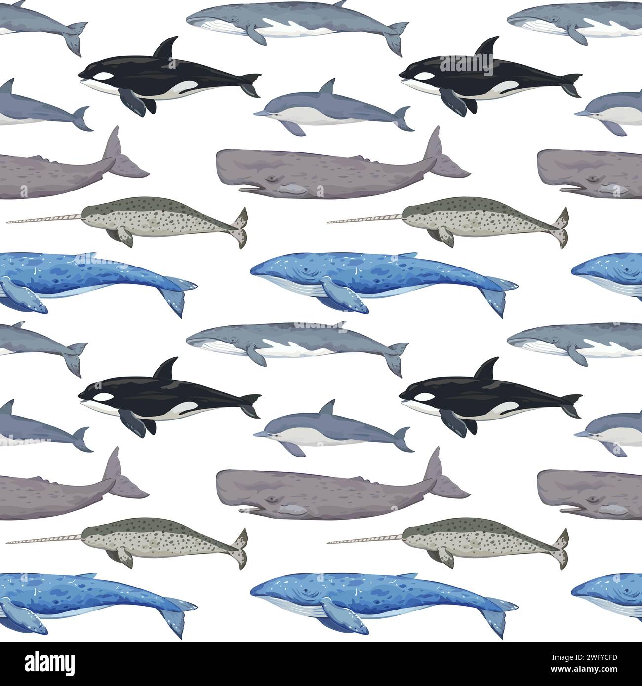 Seamless pattern with various whales. Hand-drawn detailed print. Vector illustration for design. Stock Vector