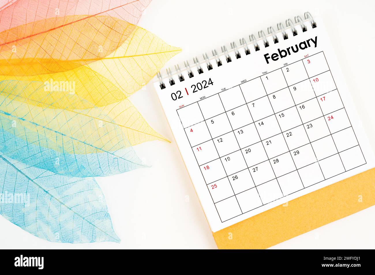 February 2024 monthly desk calendar and fiber structure of dry leaves ...