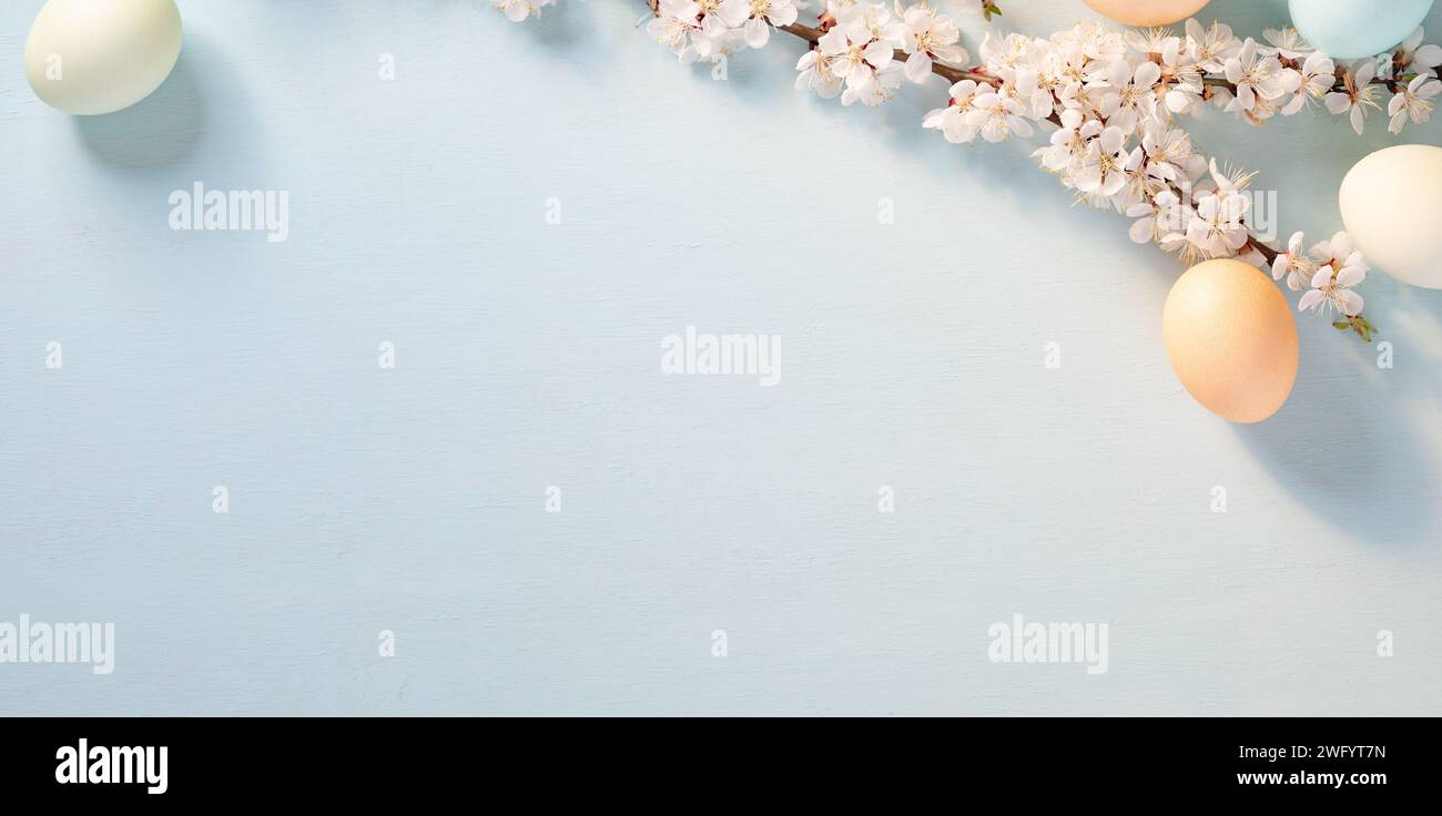 Pastel Easter Eggs and Cherry Blossoms on a Blue Background Signifying ...