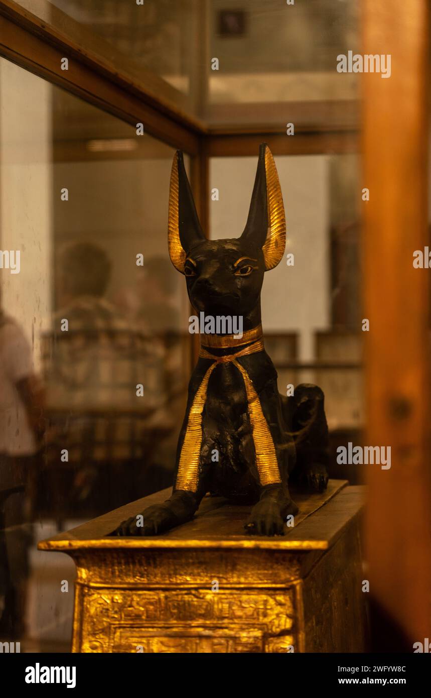 Anubis in the Cairo Museum Stock Photo