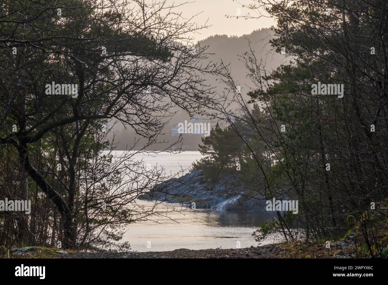 Forest and shoreline on Askøy, near Bergen, Norway, in February Stock Photo