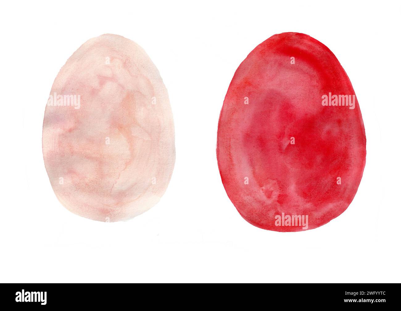 Two ovals of different sizes isolated on a white background. Light coral color and red. Watercolor blur. Easter eggs. Uneven hand drawing. Different s Stock Photo