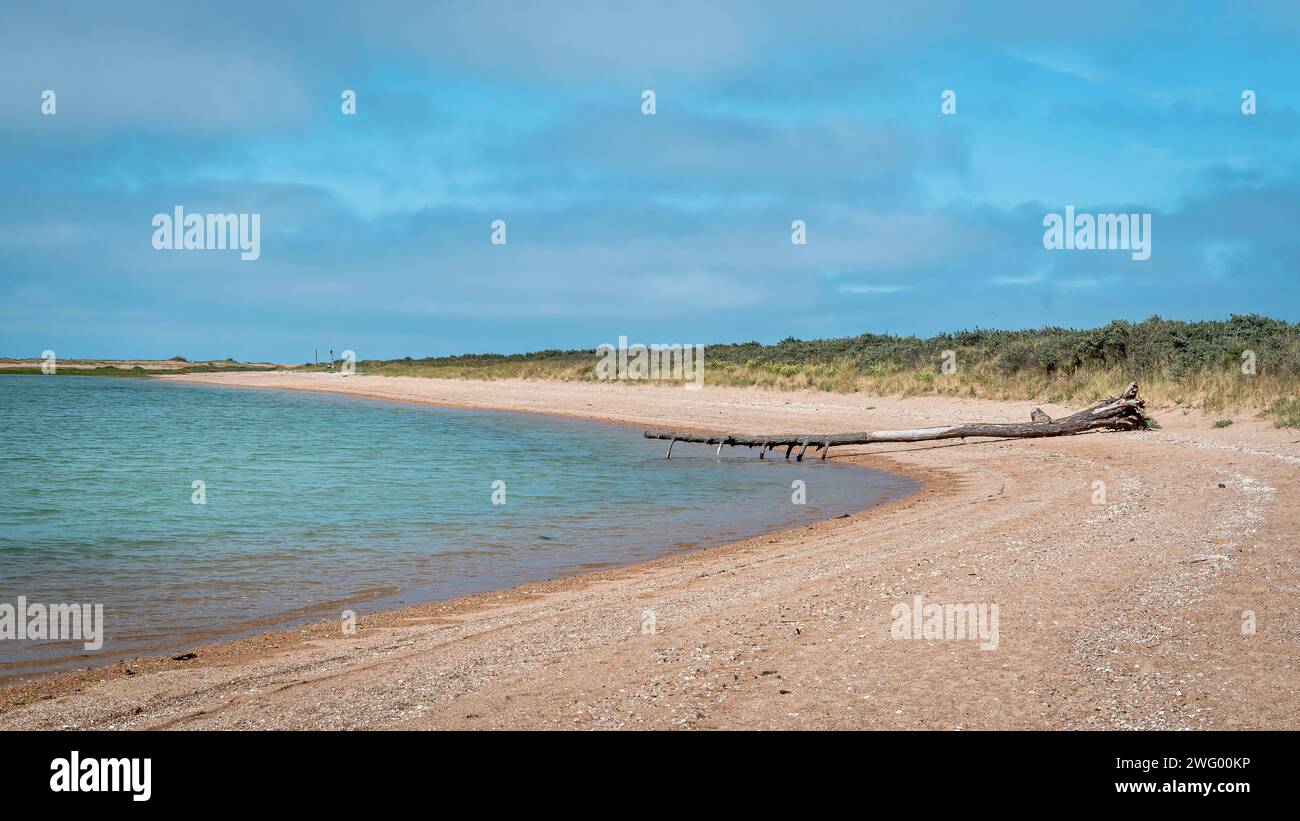 A lonely beach with driftwood log by the serene waters Stock Photo