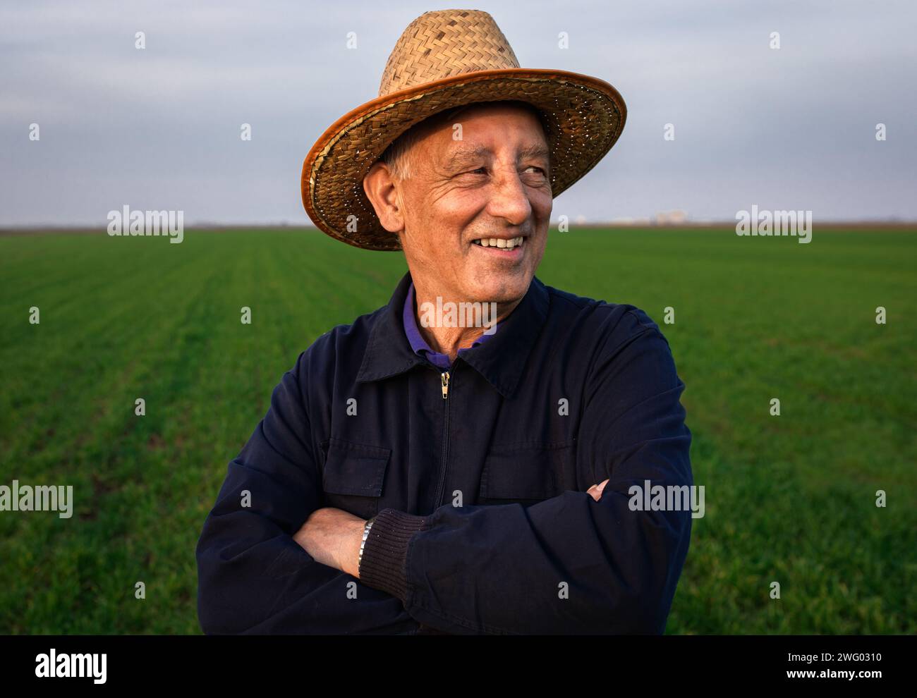Green field landscape happy farmer hi-res stock photography and images ...