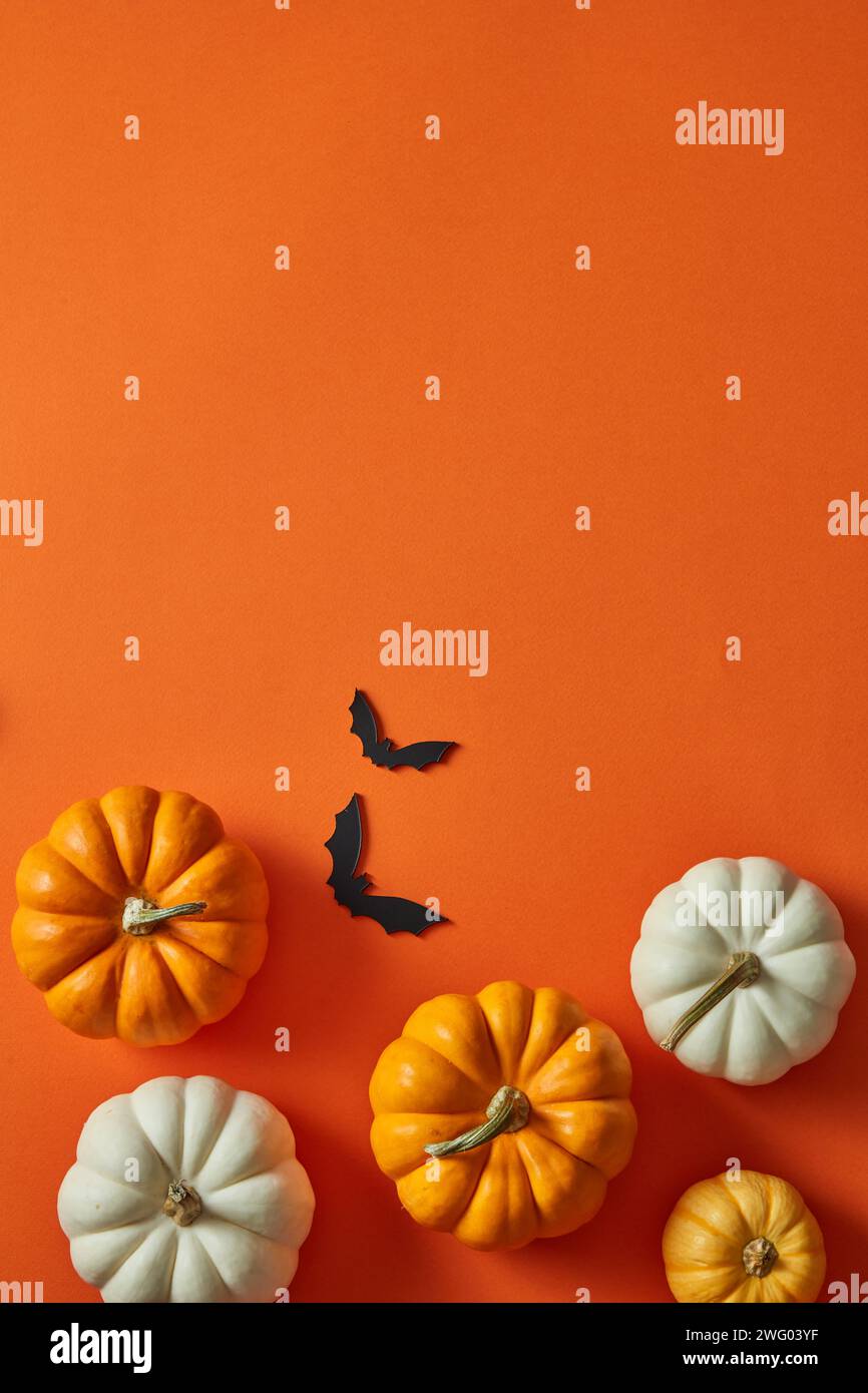 Halloween pumpkins decorated on orange background with bat stickers ...