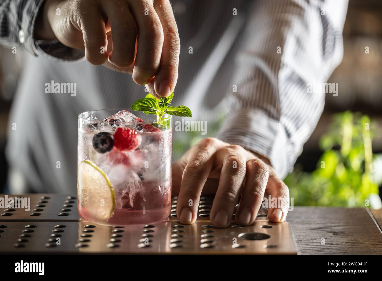Professional barman decorated gin tonic cocktail drink and decorated it with mint herbs. Stock Photo