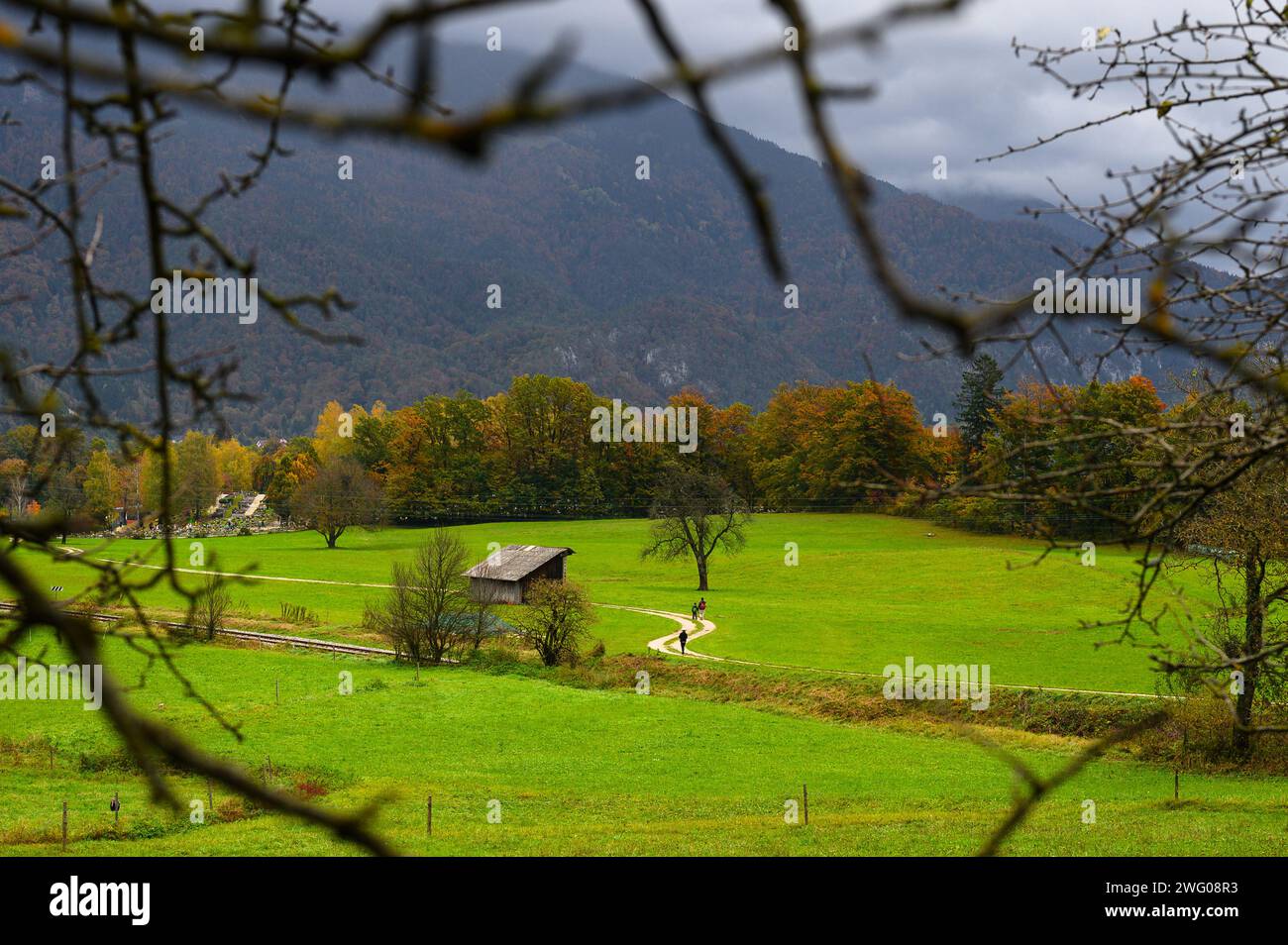 Green field in the valley with dirt road, behind it forest, mountains and clouds Stock Photo