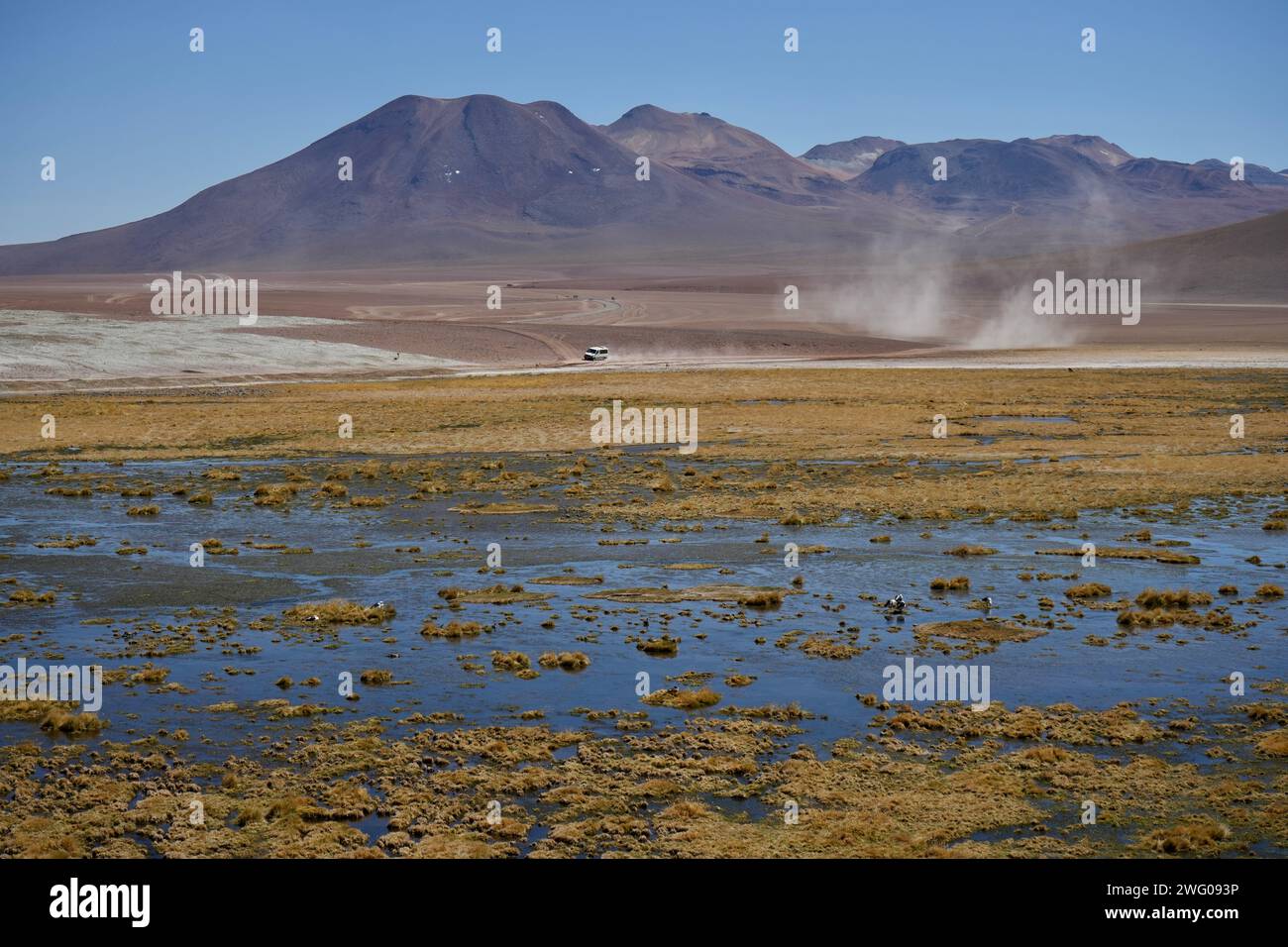 Del Rio Rio Grande Rio grande de san pedro hi-res stock photography and images - Alamy