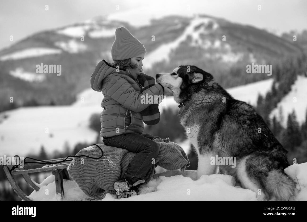 Funny boy having fun with husky dog on a sleigh in winte on snowy nature landscape. Dog wolves. Kids hugging tender husky dog. Pet love Stock Photo