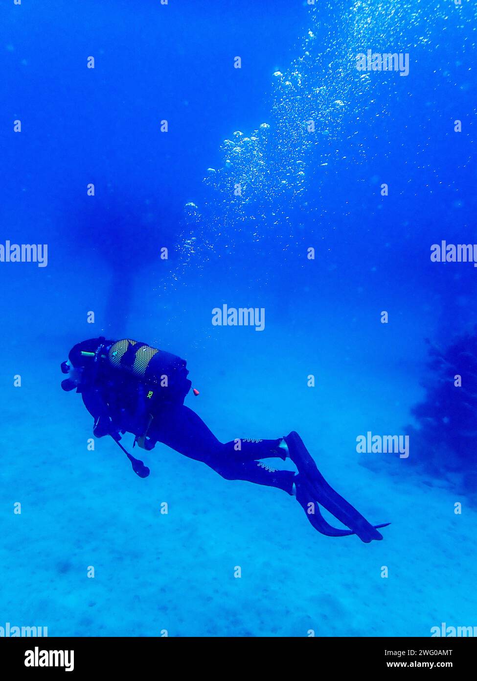 Diver in Lanzarote's azure waters, profile against a backdrop of white sandy seabed, immersed in tranquil underwater serenity Stock Photo