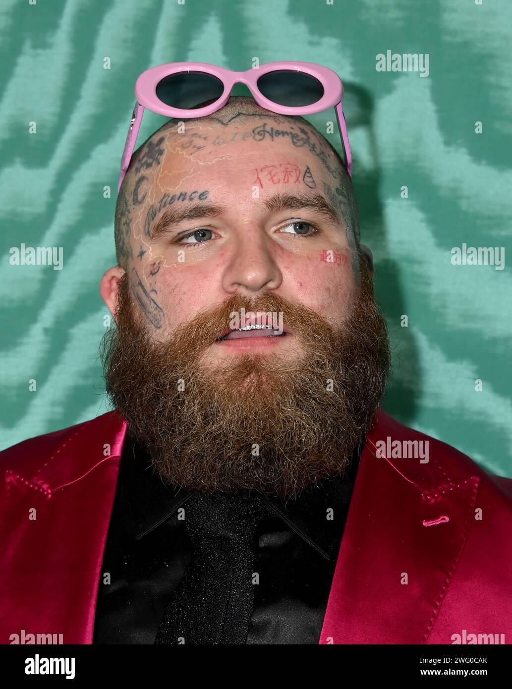 Teddy swims hires stock photography and images Alamy(01)