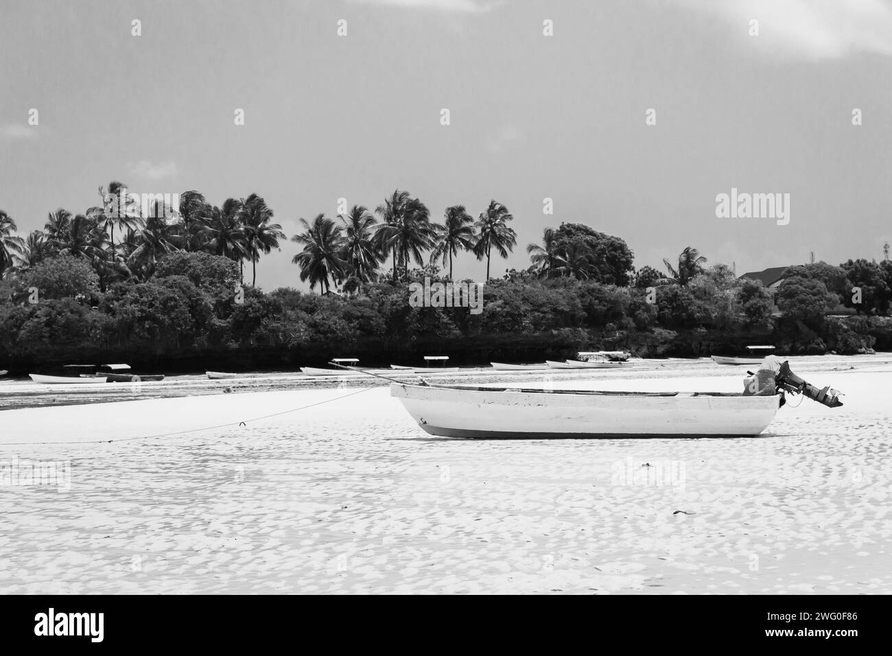 Zanzibar beach ocean Black and White Stock Photos & Images Alamy