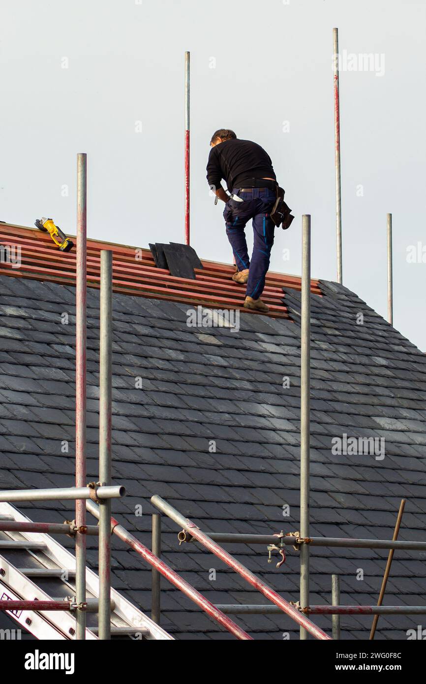 Roofer workman stepping off ladders onto natural slate roof Stock Photo Alamy