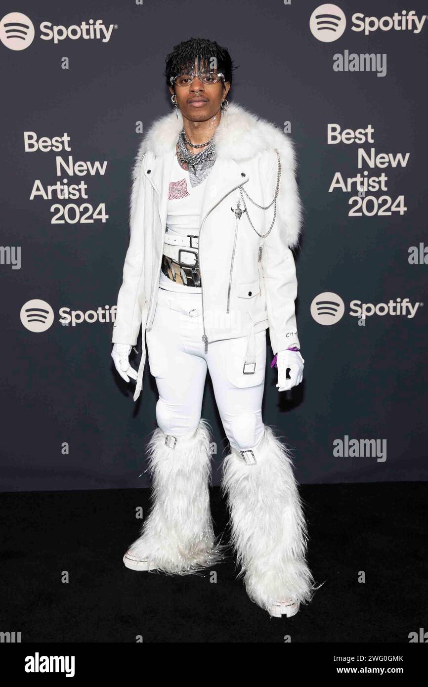 Los Angeles, USA. 01st Feb, 2024. Teezo Touchdown attends the arrivals ...