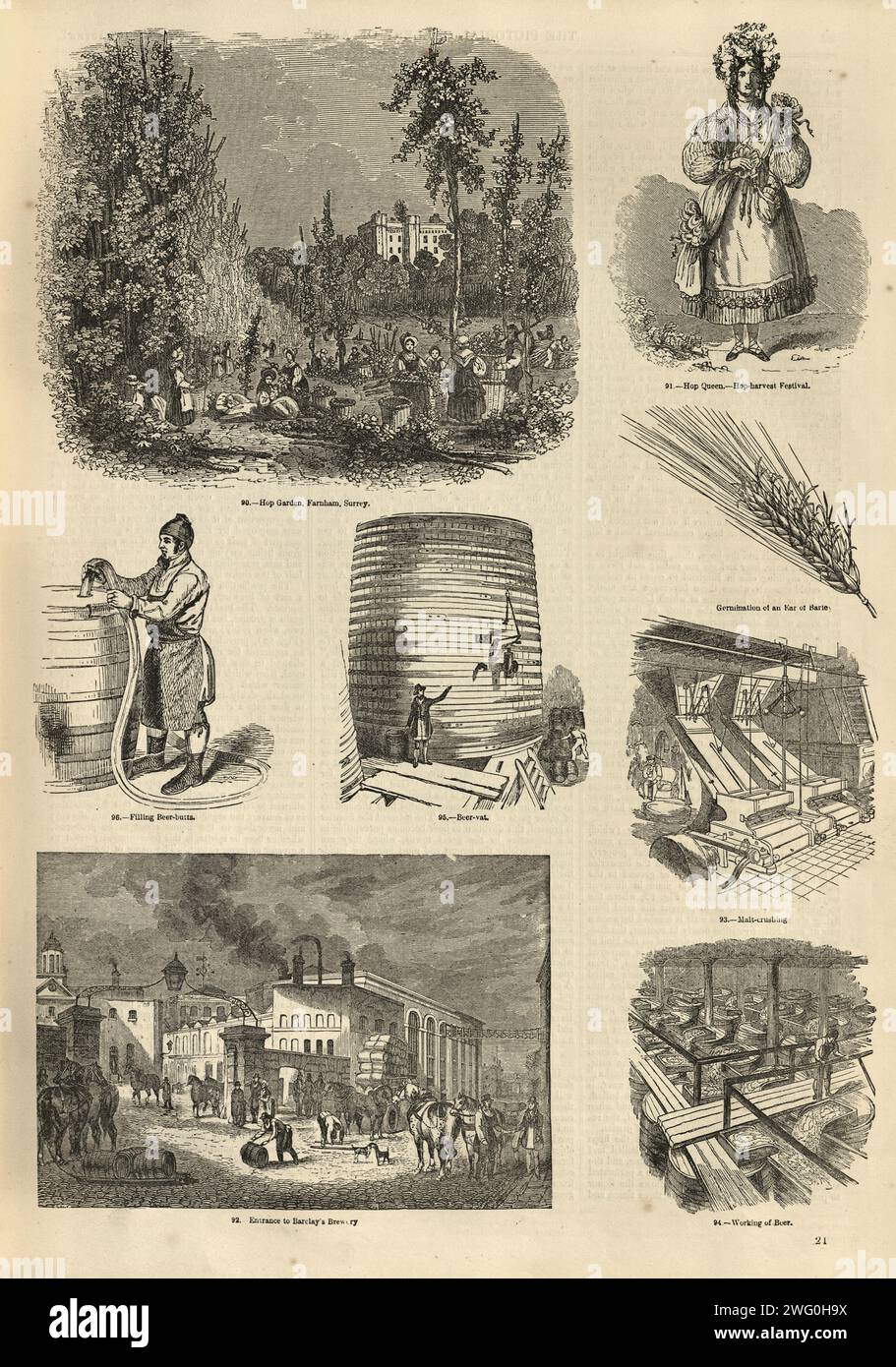 Page of old illustrations about the beer brewing industry, Hop garden, Beer Vat, Brewery, 1850s 19th Century Stock Photo