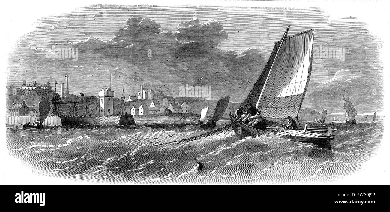 White-fish fisheries: fishing boats off Dysart, 1862. 'The over-fishing of our white fish is not...confined to any one variety...The prevalent ignorance as to the habits of the white fish has helped the diminution of the shoals. Up till within the last few years it was supposed by both naturalists and fishermen that fish of all kinds wandered about in vast bodies from coast to coast; but this is not the case. All fish are local in their habits, and live in communities much in the same way as human beings...In May and June, all along the coasts of these islands, there starts to life a determine Stock Photo