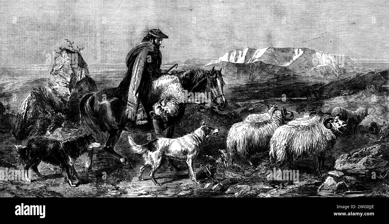 &quot;Tired Sheep - Glen Spean, Scotland&quot;, by R. Ansdell, from the exhibition of the Royal Academy, 1862. Engraving of a painting. 'The sky has the stillness and calmness of eventide, the sun has just sunk below the horizon, the moor and Spean &quot;water&quot;, or river, are in quiet shadow, but his rays still linger on the scarped slopes of the distant hills, the flock of birds - packs of ptarmigan maybe - is circling its way to the roost up among the snowy granite ledges, the shepherd consoles himself with his evening pipe and the near prospect of home - for such we presume to be the c Stock Photo