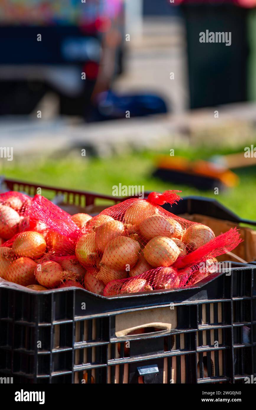 Young brown onions in orange plastic netted bags on sale at a weekend market in Sydney, Australia Stock Photo