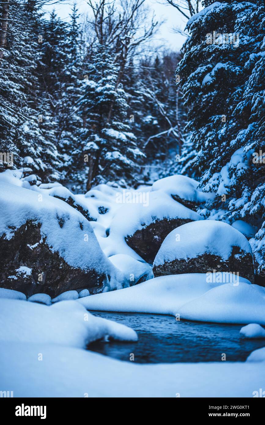 Mountain stream flows through snowy woods, New Hampshire Stock Photo