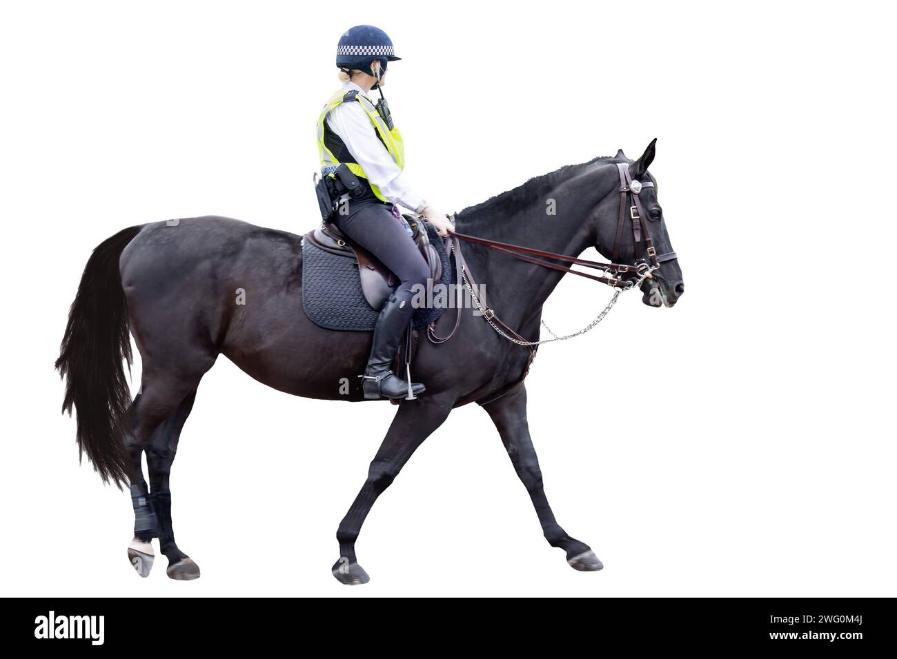 Unidentified London Metropolitan police woman officer riding a black horse is on duty, isolated on white background with space for text Stock Photo