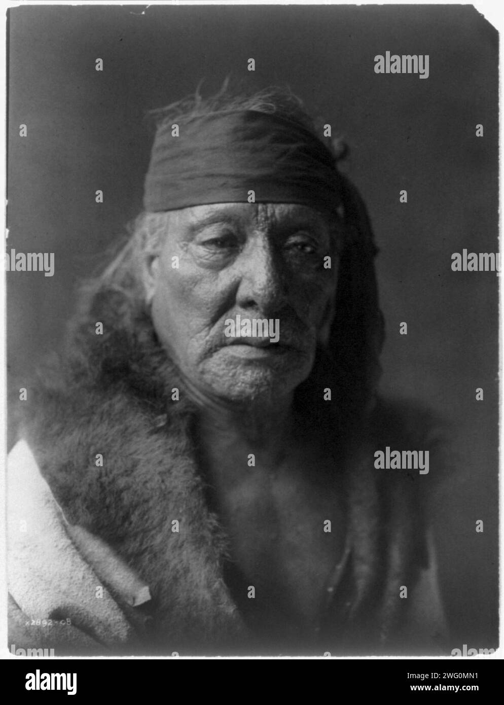 Bears wearing clothes Black and White Stock Photos & Images - Alamy