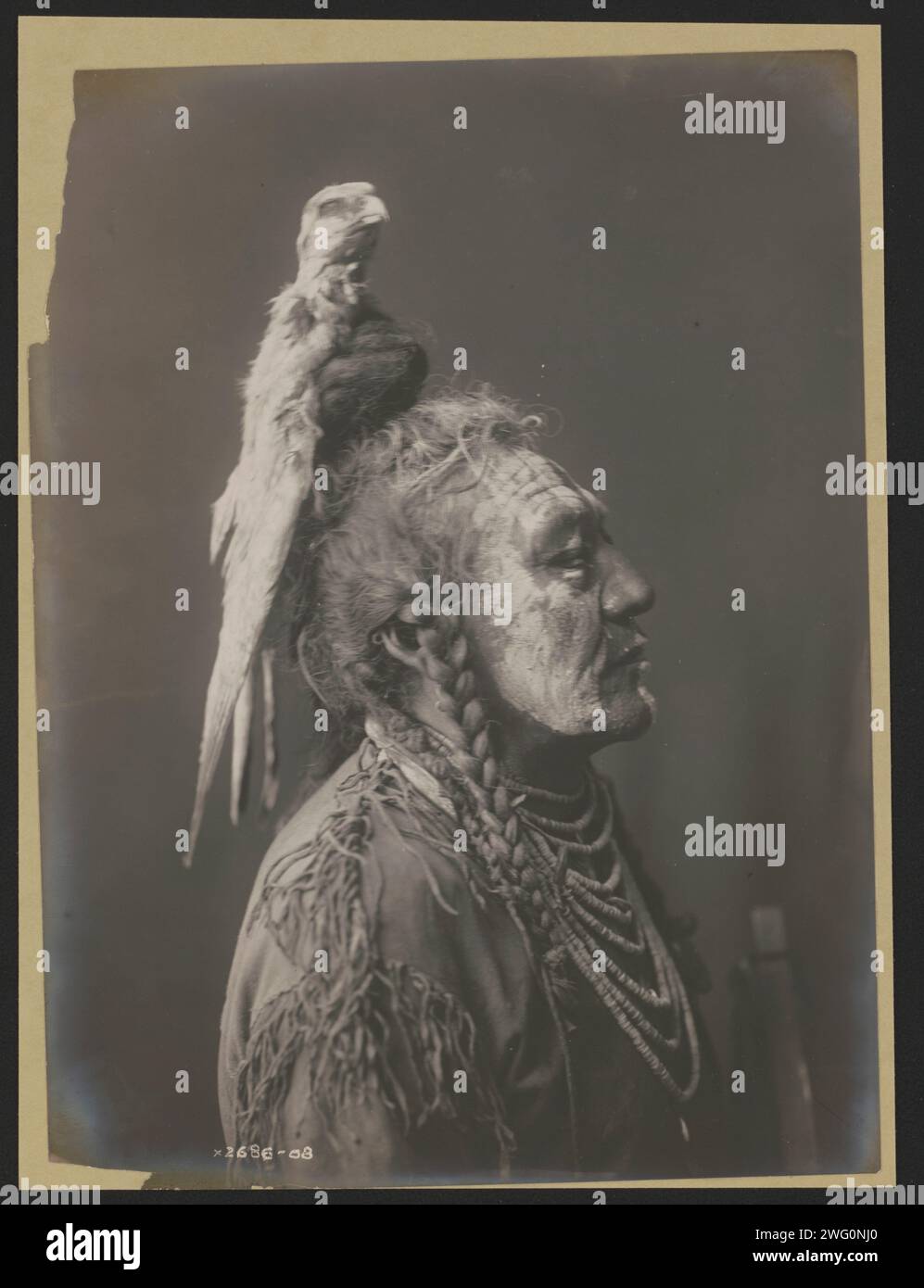Two Whistles [A]-Apsaroke, c1908. Photograph shows Two Whistles, an Apsaroke man, head-and-shoulders portrait, right profile, face painted, wearing medicine hawk headdress, buckskin shirt, and shell necklaces. Stock Photo