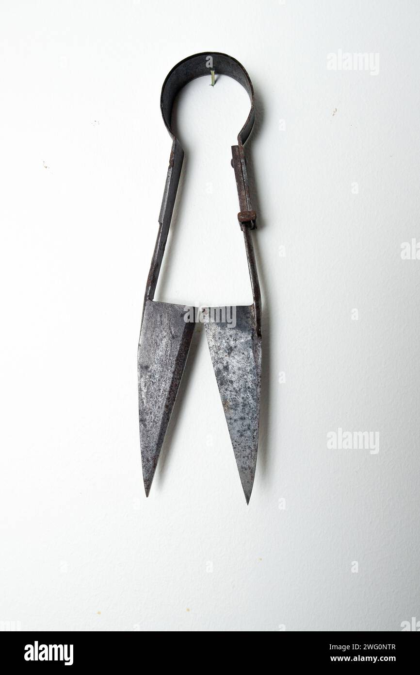 Shears Outdated Image old sheep shears Stock Photo - Alamy