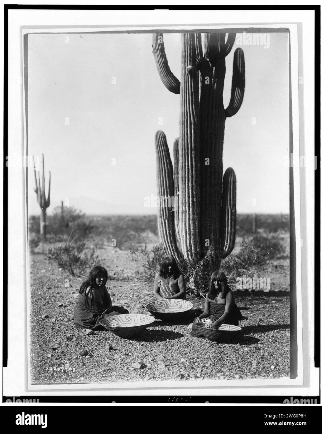Saguaro gatherers, c1907. Three Maricopa Indians, seated in front of cactus, with baskets. Stock Photo