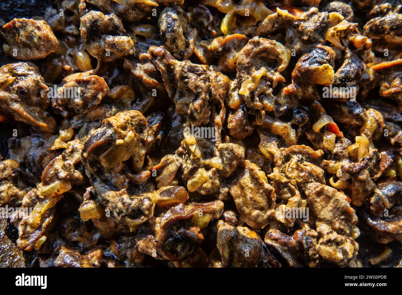 Hiker's food. Grape snails fried in a frying pan with vegetables Stock Photo
