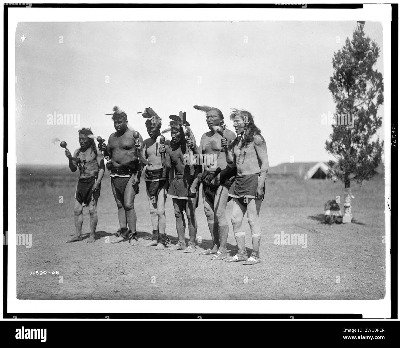 Arikara medicine ceremony-the Bears, c1908. Photo shows six men standing in line in front of cedar tree, holding rattles and singing. Stock Photo