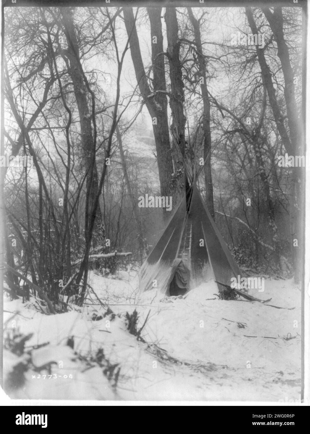 Tipi on the forest Black and White Stock Photos & Images - Alamy