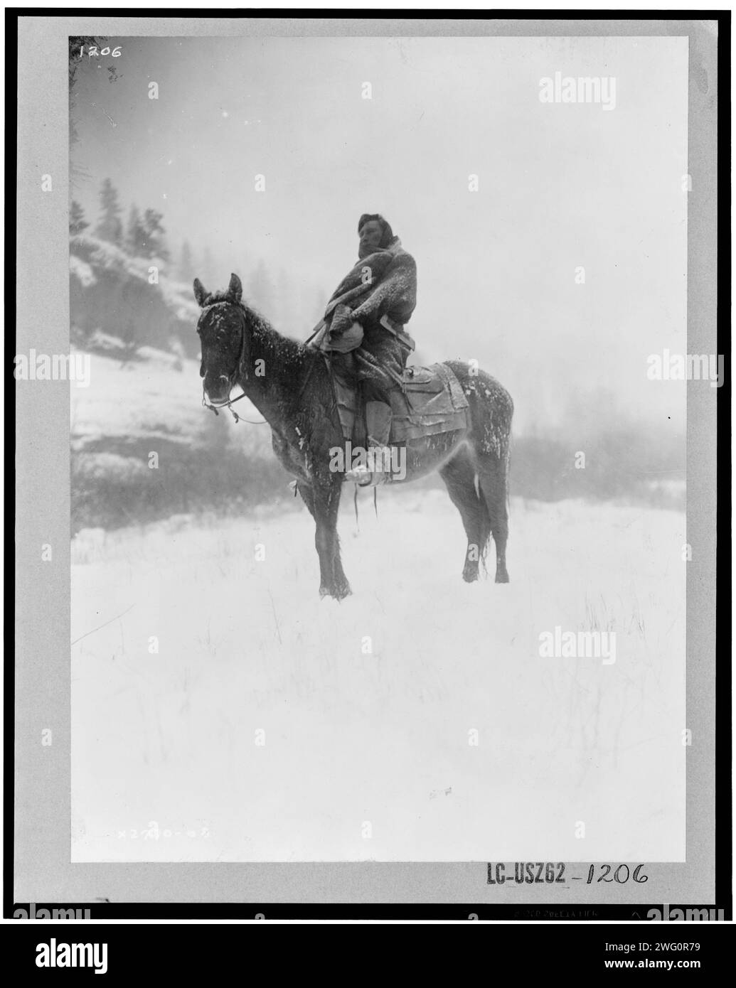 The scout in winter-Apsaroke, c1908. Apsaroke man on horseback on snow-covered ground, probably in Pryor Mountains, Montana. Stock Photo