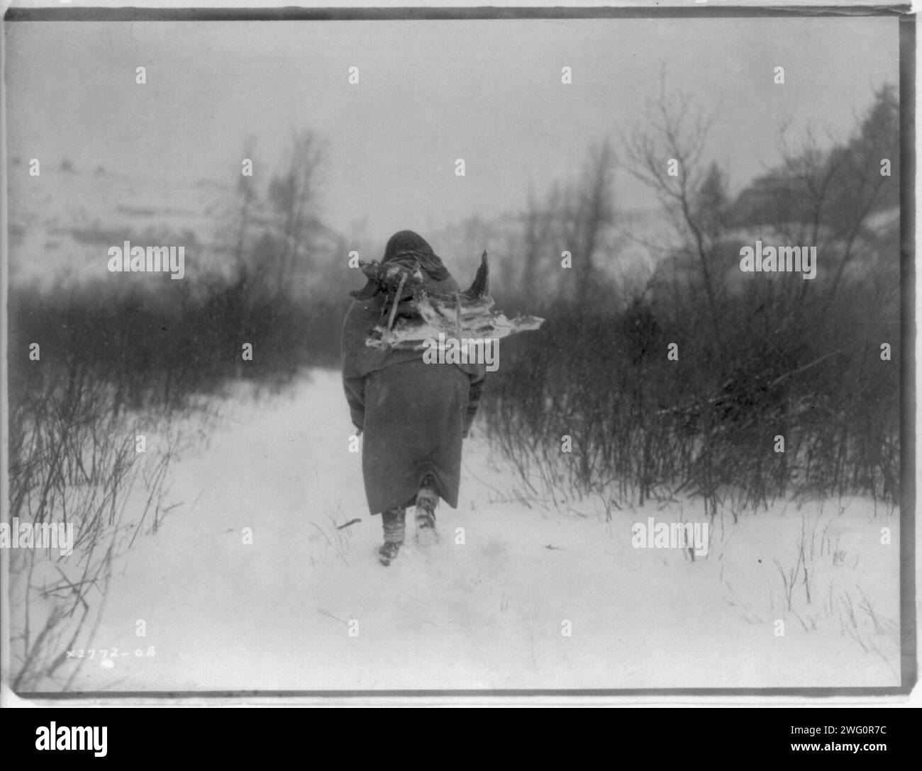 Going to camp, c1908. Apsaroke woman carrying firewood in snow. Stock Photo