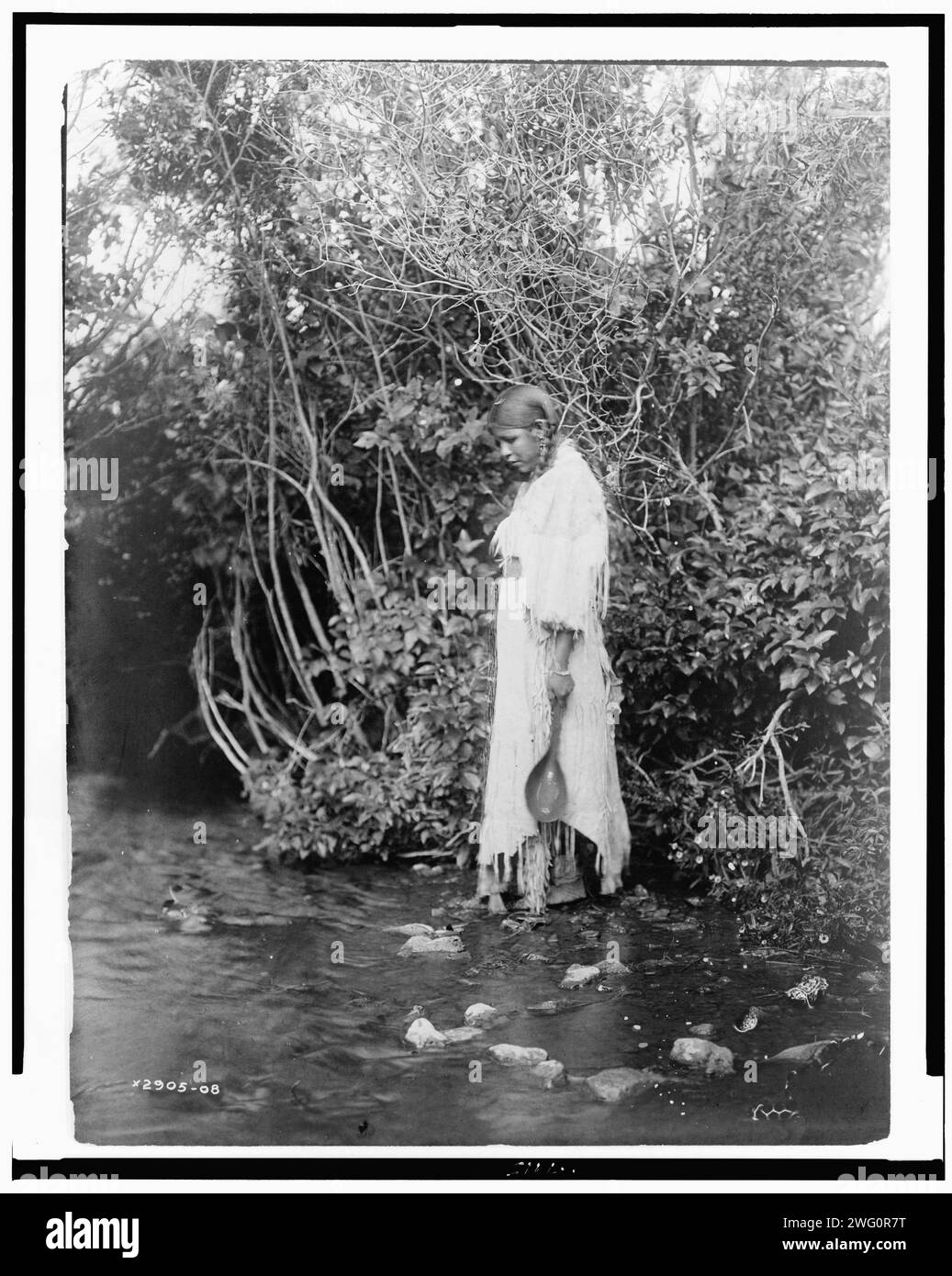 At the water's edge-Arikara, c1908. Young Arikara Indian standing in shallow water, wearing buckskin dress, with trees in background, North Dakota. Stock Photo