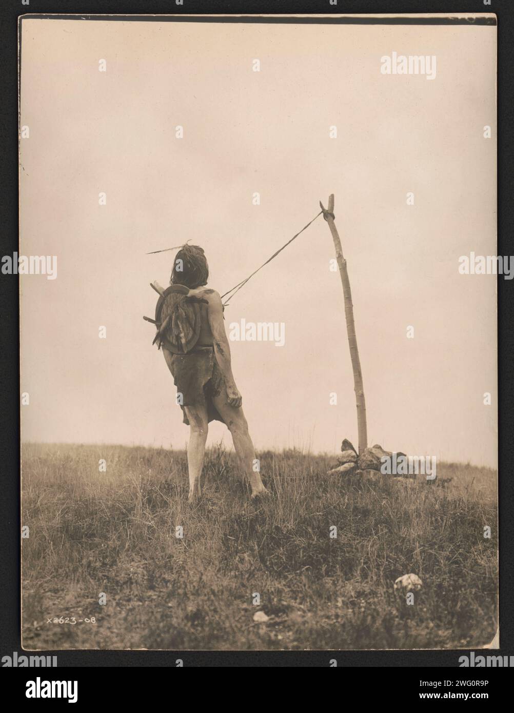 For strength and visions-Apsaroke, c1908. Photograph shows an Apsaroke man, leaning back slightly, with strips of leather attached to his chest and tethered to a pole secured by rocks, part of the piercing ritual of the sun dance. Stock Photo