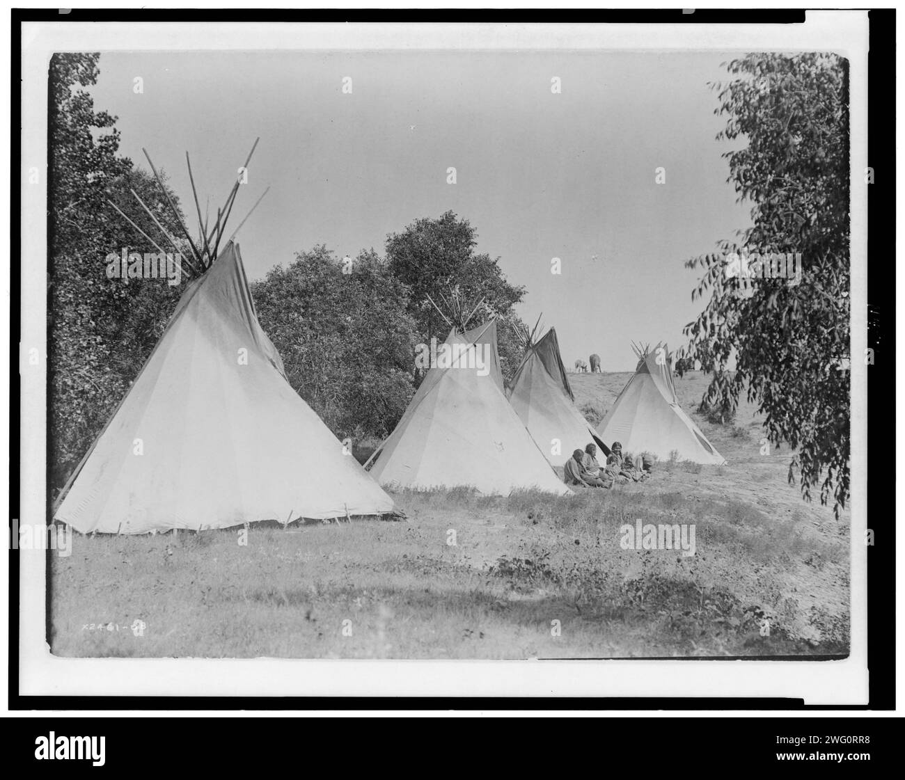Camp life, c1908. Four canvas covered tipis, Assiniboine women and children seated on ground, South Dakota. Stock Photo