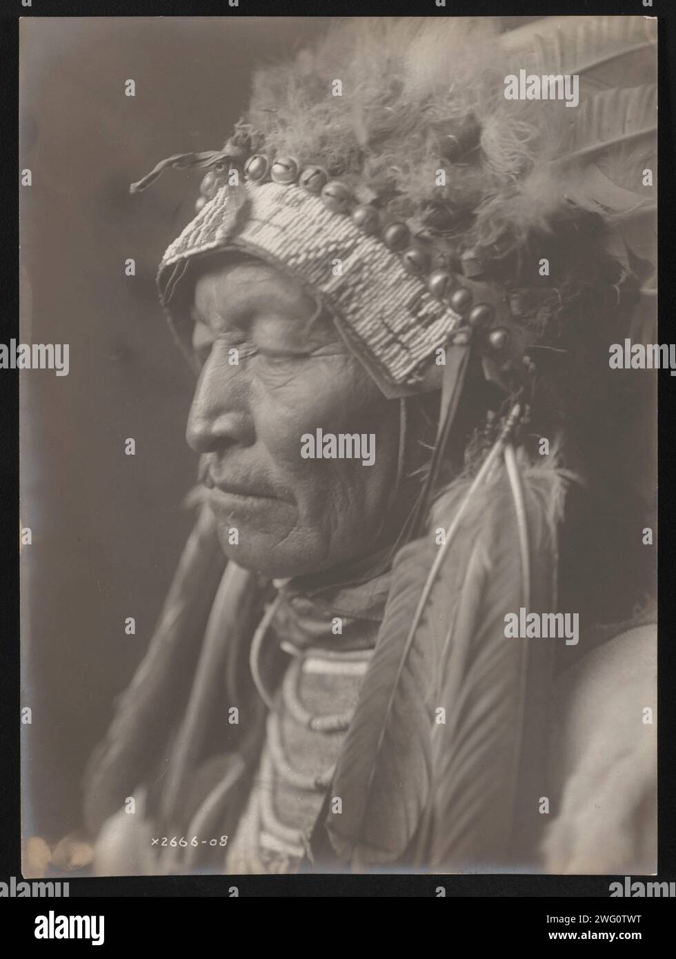 Old Tail, 1908. Photograph shows head-and-shoulders portrait of Old ...