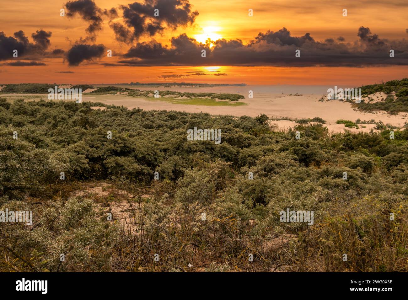 Dunes and beach of tidal inlet of The Zwin nature reserve at North Sea coast at sunset, at border between Belgium and the Netherlands Stock Photo