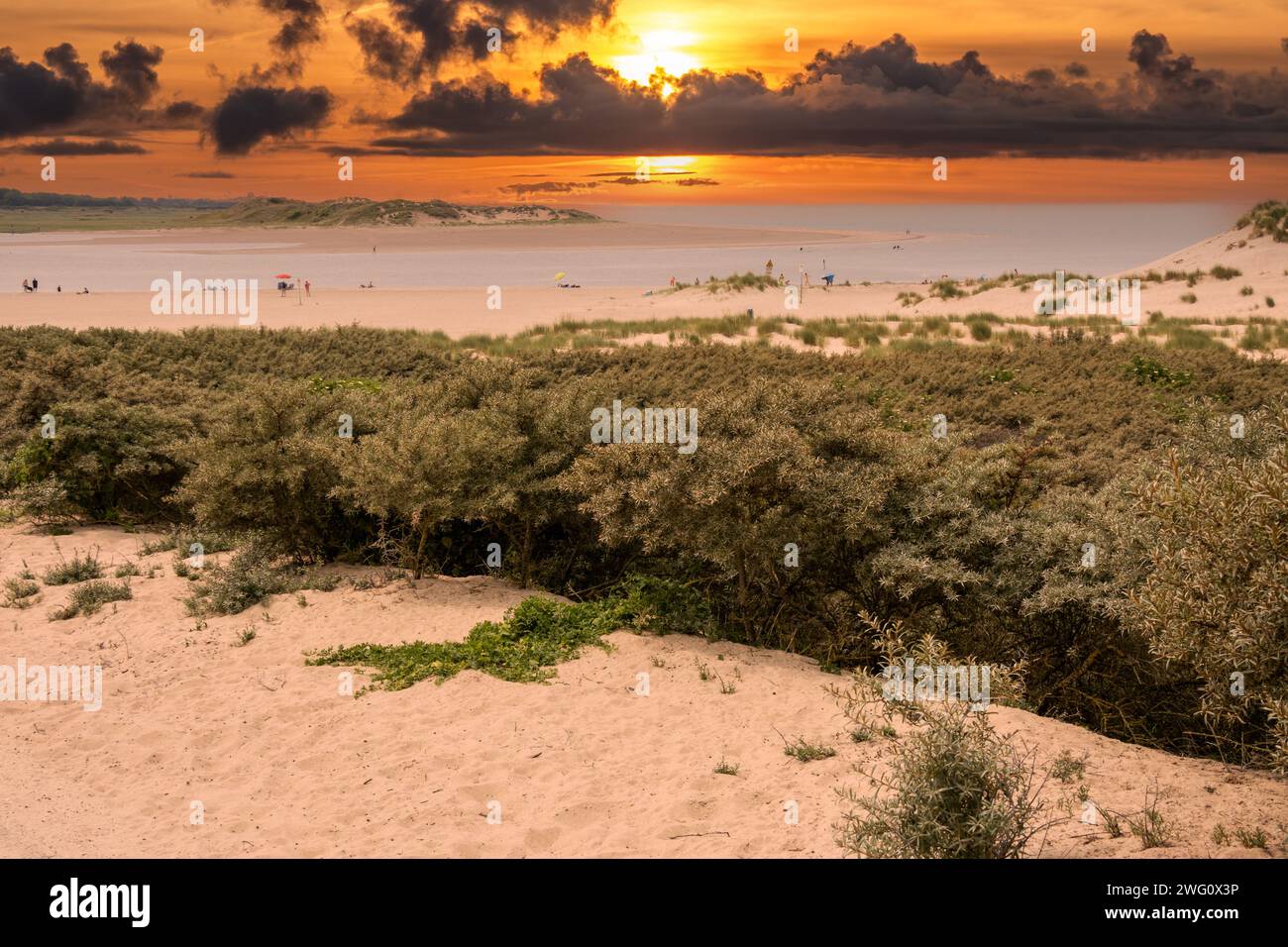 Dunes and beach of tidal inlet of The Zwin nature reserve at North Sea coast at sunset, at border between Belgium and the Netherlands Stock Photo