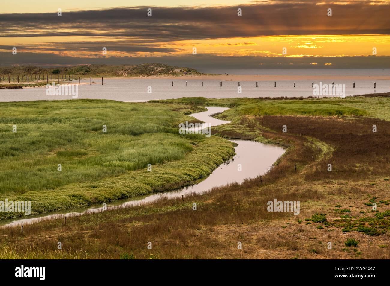 Salt marshes of tidal inlet of The Zwin nature reserve at North Sea coast at sunset, at border between Belgium and the Netherlands Stock Photo