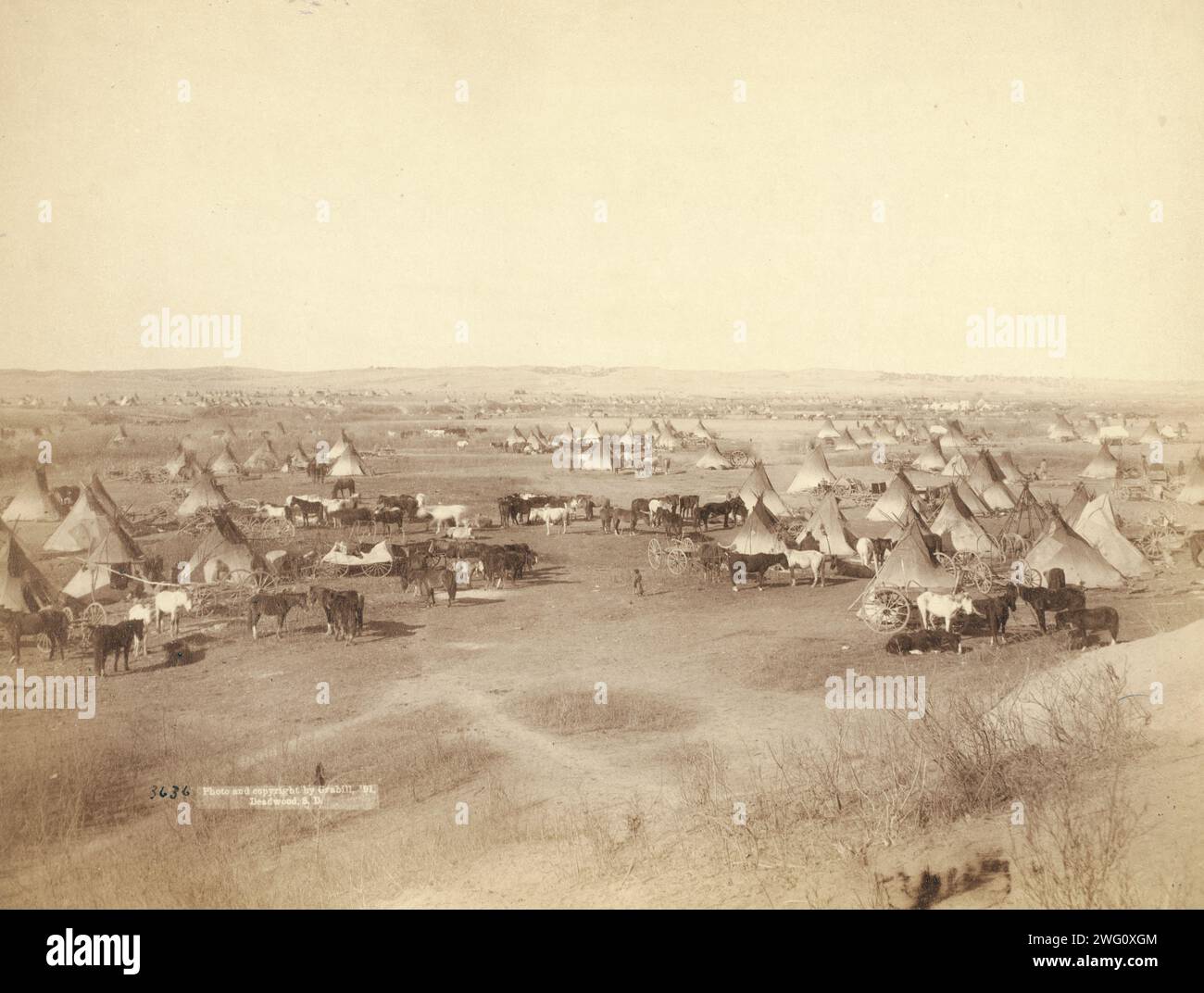 Hostile Indian camp, 1891. Bird's-eye view of a large Lakota camp of tipis, horses, and wagons, probably on or near Pine Ridge Indian Reservation. Stock Photo