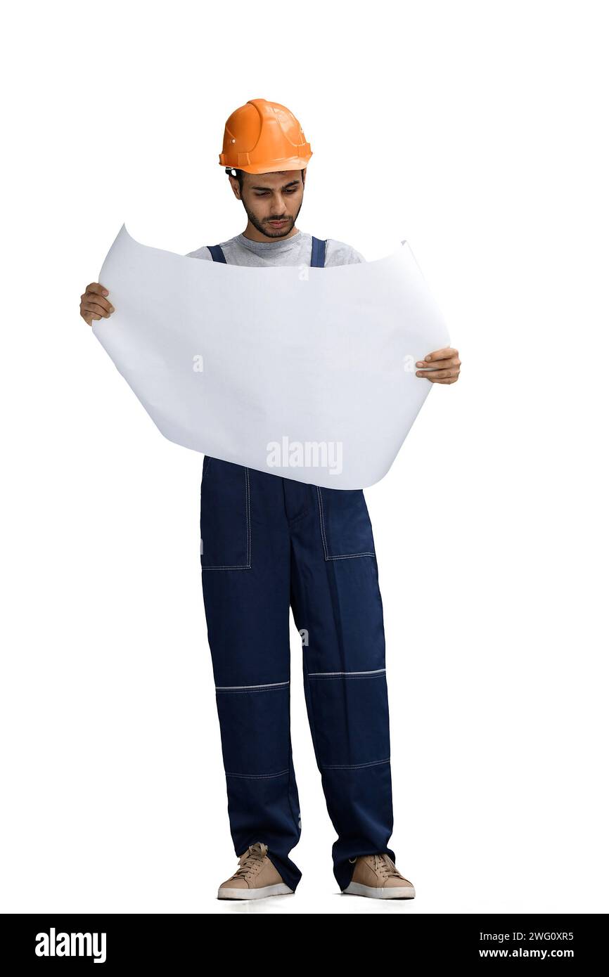 A builder male on a white background look at the blueprint Stock Photo ...