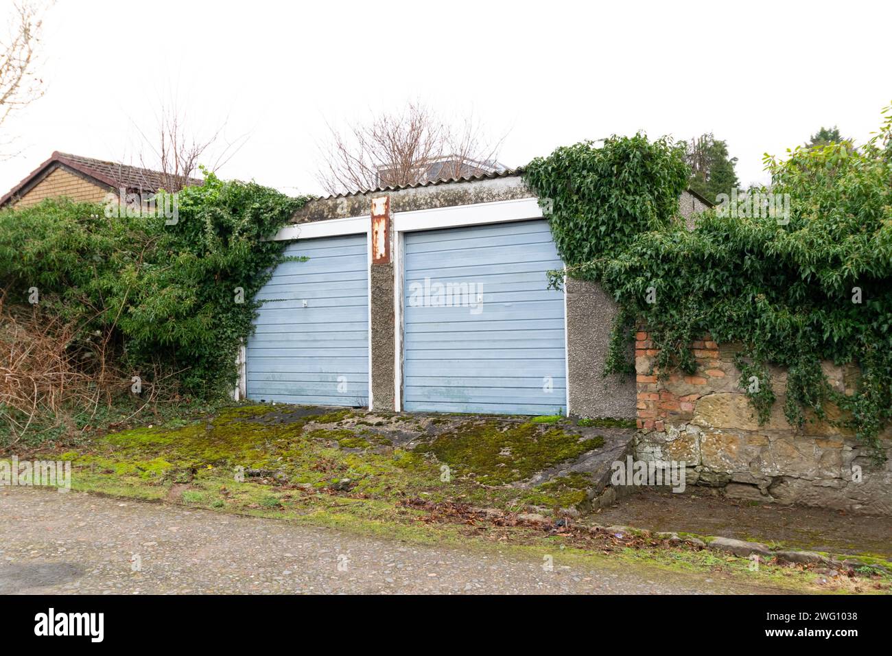 a suburban scene with an overgrown brick fence, garages, ivy, trees and house in back ground Stock Photo